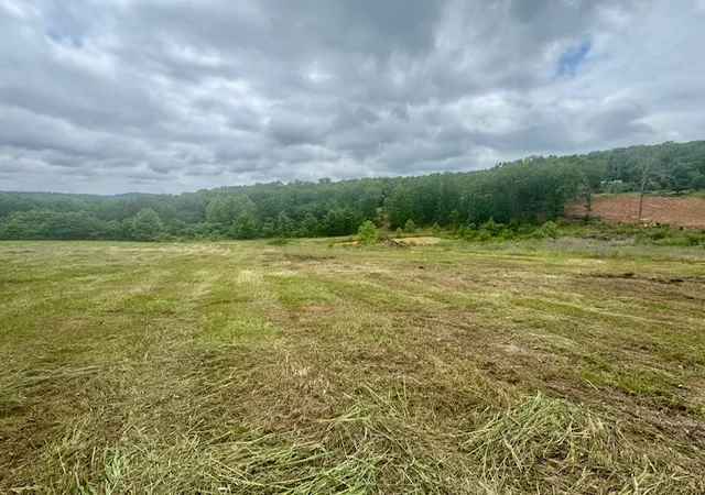 Homes for sale in Natural Dam, AR | Tbd Peaceful Home Ln, Natural Dam, AR 72948 | MLS# 1348324