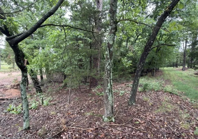 Homes for sale in Rogers, AR | Lot 41 & 33 Rocky Branch Rd/Cardinal Ln, Rogers, AR 72756 | MLS# 1348319