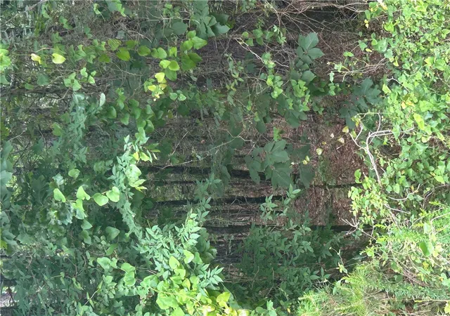 Photo 3 of Sale Pending at 000 Wildcat Holw, Russellville, AR 72802 | MLS# 1348329 | Listing updated on 2026-06-08