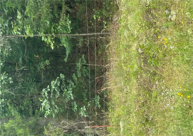 Photo 3 of Sale Pending at 000 Wildcat Holw, Russellville, AR 72802 | MLS# 1348329 | Listing updated on 2026-06-08