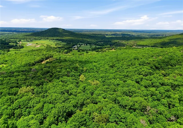 Homes for sale in Green Forest, AR | Tbd Cr 906, Green Forest, AR 72638 | MLS# 1347042