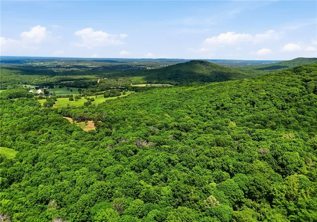 Homes for sale in Green Forest, AR | Tbd Cr 906, Green Forest, AR 72638 | MLS# 1347042
