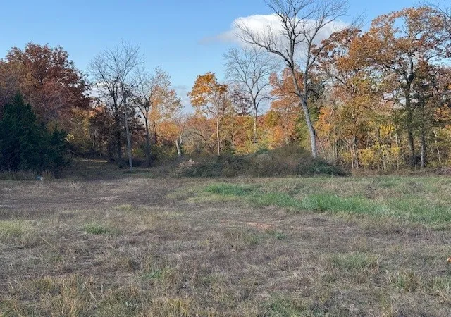 Homes for sale in Golden, MO | 26511 Farm Road 1255, Golden, MO 65658 | MLS# 1348299