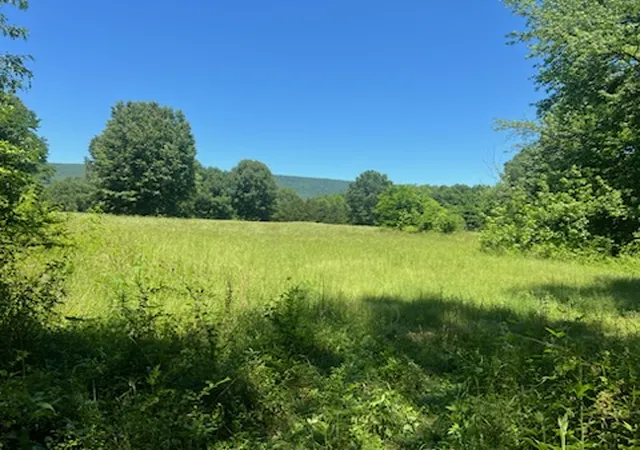1st image of 13535 Harkey Valley Rd, Dardanelle, AR 72834 | MLS# 1348492