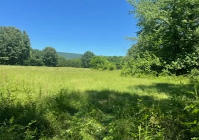 2nd image of 13535 Harkey Valley Rd, Dardanelle, AR 72834 | MLS# 1348492