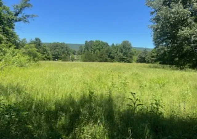 3rd image of 13535 Harkey Valley Rd, Dardanelle, AR 72834 | MLS# 1348492