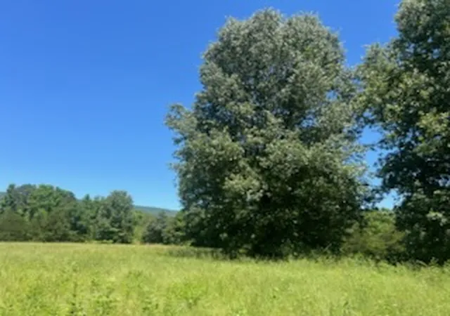 4th image of 13535 Harkey Valley Rd, Dardanelle, AR 72834 | MLS# 1348492