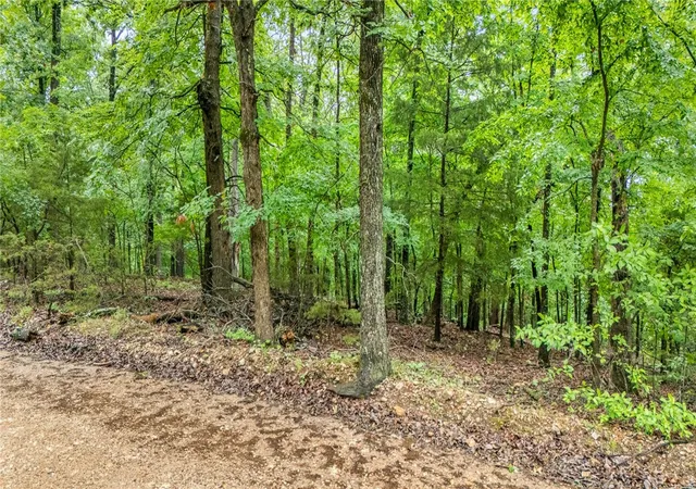 Photo 4 of Land for sale at Latham's Landing, Garfield, AR 72732 | MLS# 1348024 | Listing updated on 2026-06-01