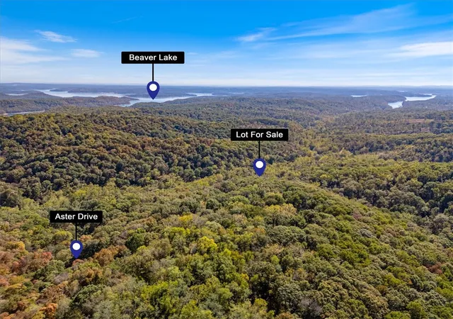 Homes for sale in Rogers, AR | Lot 265 Aster Dr, Rogers, AR 72756 | MLS# 1348585