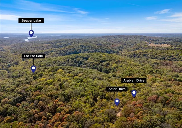 Homes for sale in Rogers, AR | Lot 265 Aster Dr, Rogers, AR 72756 | MLS# 1348585