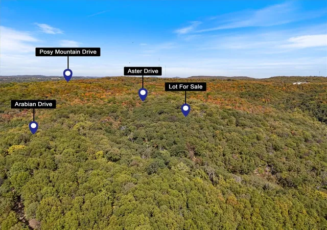 Homes for sale in Rogers, AR | Lot 262 Aster Dr, Rogers, AR 72756 | MLS# 1348584