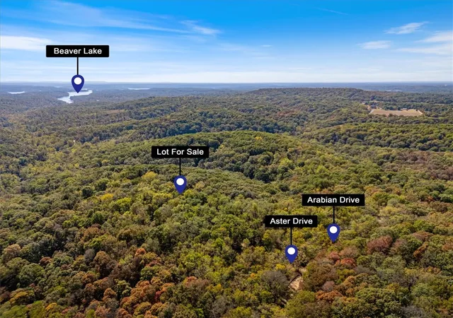 Homes for sale in Rogers, AR | Lot 261 Aster Dr, Rogers, AR 72756 | MLS# 1348545