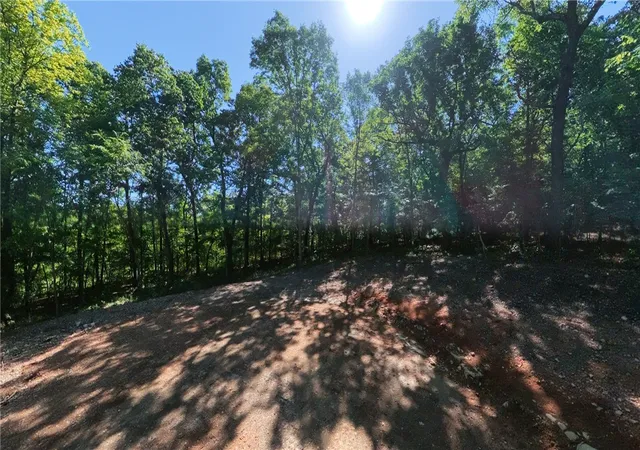 5th image of 910 Mc 7097, Flippin, AR 72634 | MLS# 1348447