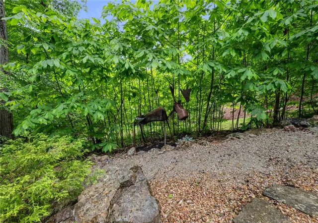 Homes for sale in Eureka Springs, AR | 53 Wildcat Ln, Eureka Springs, AR 72631 | MLS# 1348618