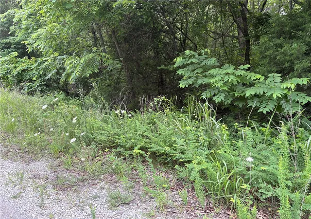 Photo 3 of Sale Pending at 275 Mc 6030, Yellville, AR 72687 | MLS# 1348875 | Listing updated on 2026-08-03