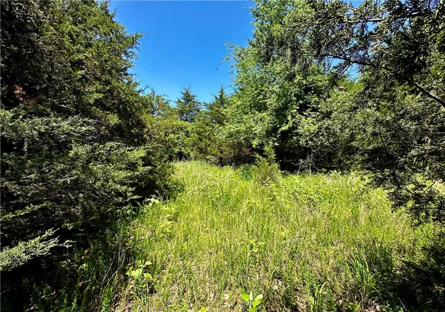 5th image of 5 Bandy Dr, Holiday Island, AR 72631 | MLS# 1347105