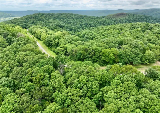 Homes for sale in Pettigrew, AR | Tbd Hwy 16, Pettigrew, AR 72752 | MLS# 1348972