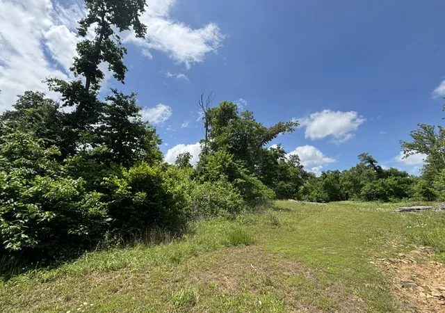 2nd image of Ar 21 S Berryville, Ar 72 S Ar 21, Berryville, AR 72616 | MLS# 1348994