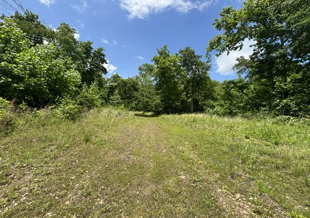 5th image of Ar 21 S Berryville, Ar 72 S Ar 21, Berryville, AR 72616 | MLS# 1348994