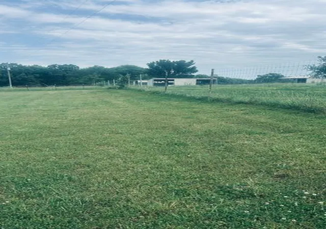 Homes for sale in Gentry, AR | 1368 Hwy 12, Gentry, AR 72734 | MLS# 1348359