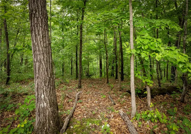 20th image of 48 Brentwood Dr, Bella Vista, AR 72715 | MLS# 1346727