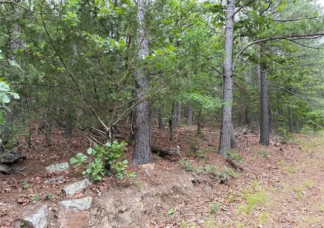 Homes for sale in Marble Falls, AR | 0000 Nc 3920 Rd, Marble Falls, AR 72648 | MLS# 1348960