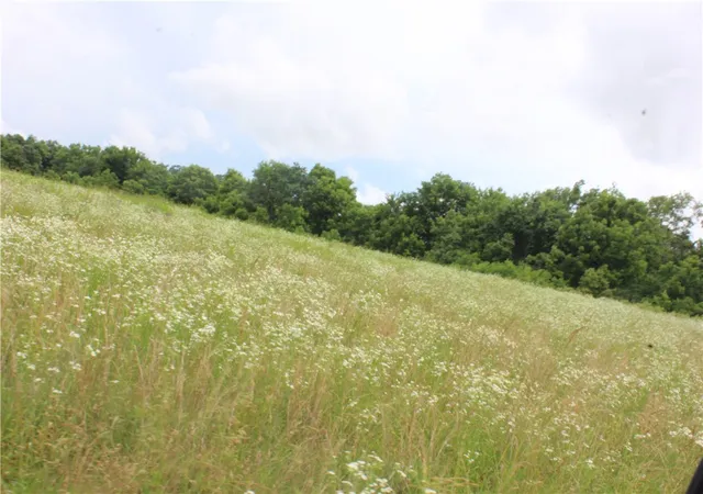 4th image of Tbd 000 W Ar Hwy 72, Gravette, AR 72736 | MLS# 1349203
