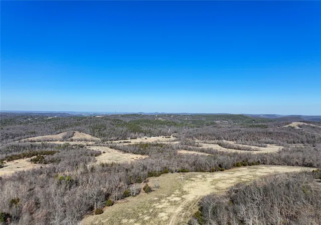 Photo 3 of Single family home for sale at 1061 County Rd 731, Berryville, AR 72616 | MLS# 1349227 | Listing updated on 2026-05-31