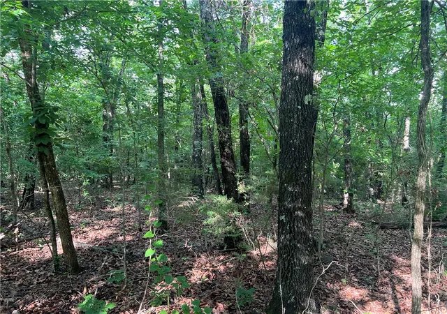 Photo 1 of Land for sale at Grassy Gap Rd, Harrison, AR 72601 | MLS# 1349269 | Listing updated on 2026-05-31