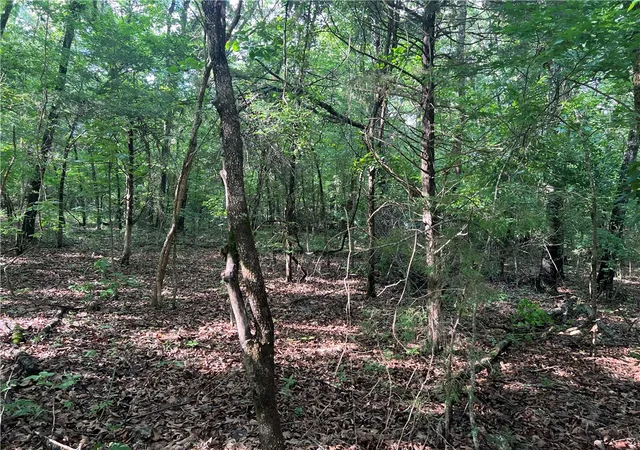 Photo 2 of Land for sale at Grassy Gap Rd, Harrison, AR 72601 | MLS# 1349269 | Listing updated on 2026-05-31