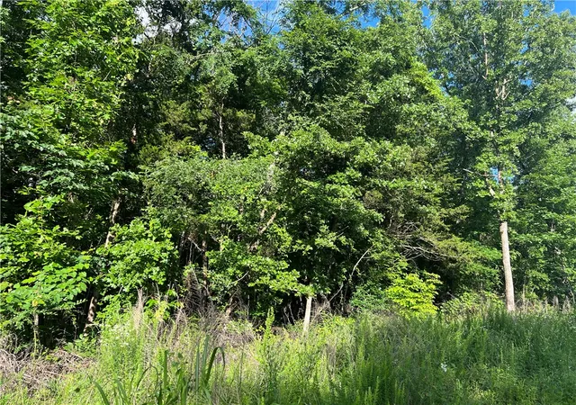 Photo 3 of Land for sale at Grassy Gap Rd, Harrison, AR 72601 | MLS# 1349269 | Listing updated on 2026-05-31
