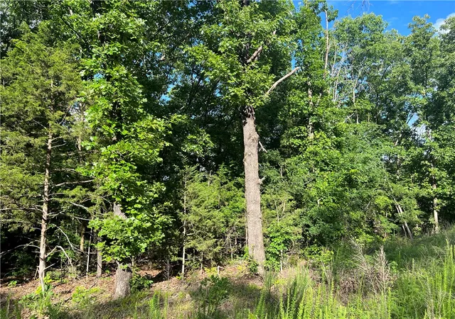 Photo 4 of House for sale at Grassy Gap Rd, Harrison, AR 72601 | MLS# 1349269 | Listing updated on 2026-05-31