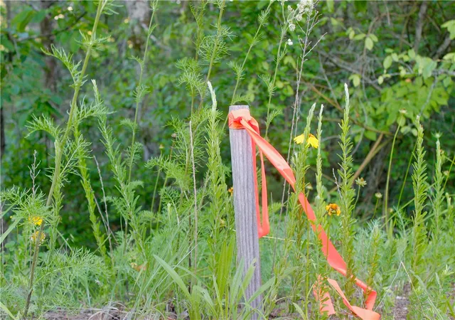 60th image of 223 County Road 1091, Eureka Springs, AR 72631 | MLS# 1349285