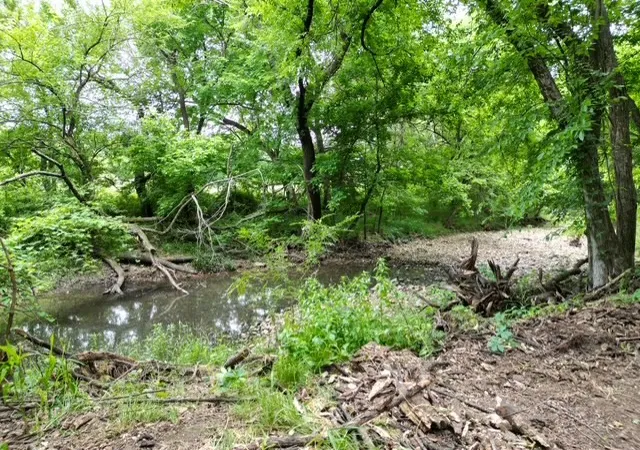 1st image of 12001 Hwy 43, Maysville, AR 72747 | MLS# 1348088