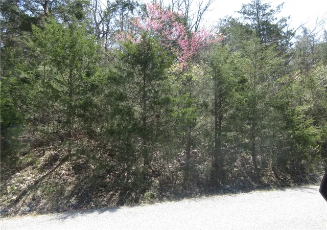 1st image of Lot 6, Hillside Dr, Holiday Island, AR 72631 | MLS# 1349282