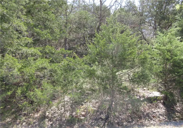 2nd image of Lot 7, Hillside Dr, Holiday Island, AR 72631 | MLS# 1349283