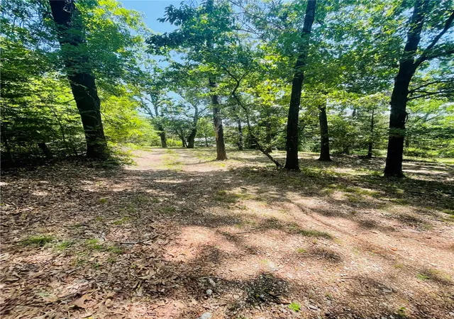 Homes for sale in Berryville, AR | 1839 Bunch Springs Rd, Berryville, AR 72616 | MLS# 1349210