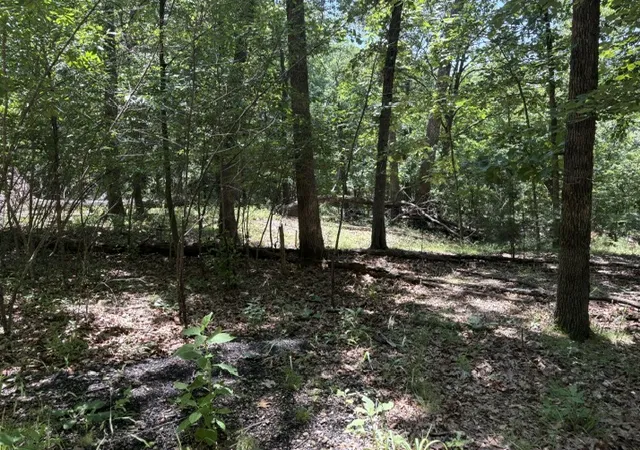 2nd image of Lots 23 25 Maple Dr, Garfield, AR 72732 | MLS# 1349509