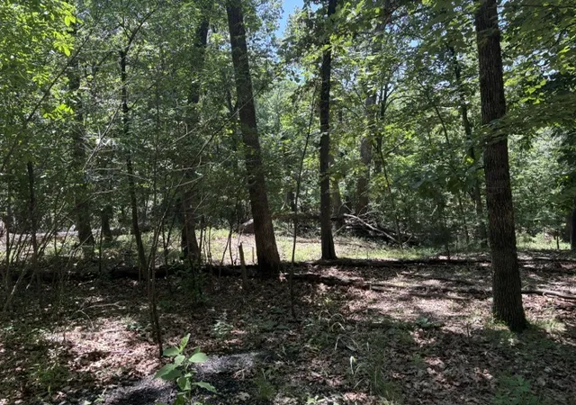5th image of Lots 23-25 Maple Dr, Garfield, AR 72732 | MLS# 1349509