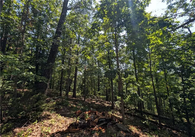 Photo 1 of Land for sale at Cyn Village Rd, Rogers, AR 72756 | MLS# 1349559 | Listing updated on 2026-09-16