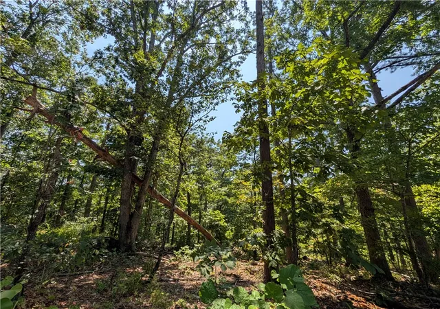 Photo 2 of Land for sale at Cyn Village Rd, Rogers, AR 72756 | MLS# 1349559 | Listing updated on 2026-09-16