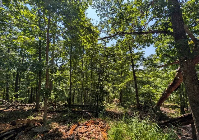 Photo 3 of Land for sale at Cyn Village Rd, Rogers, AR 72756 | MLS# 1349559 | Listing updated on 2026-09-16