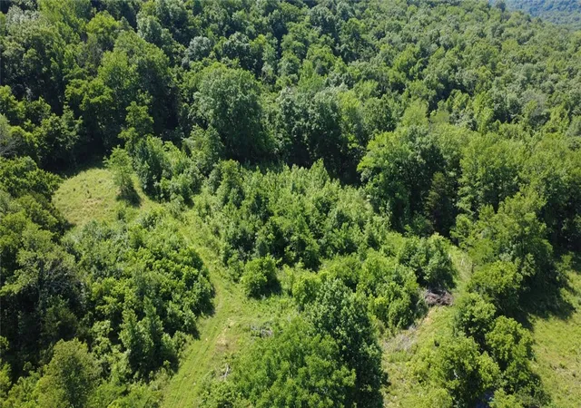 5th image of 934 Nc 7480, Deer, AR 72628 | MLS# 1349589
