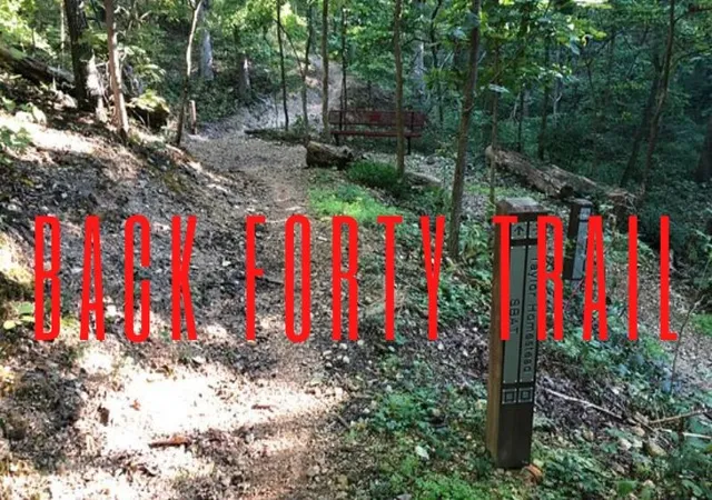 31st image of 21 Westmorland Dr, Bella Vista, AR 72714 | MLS# 1349391