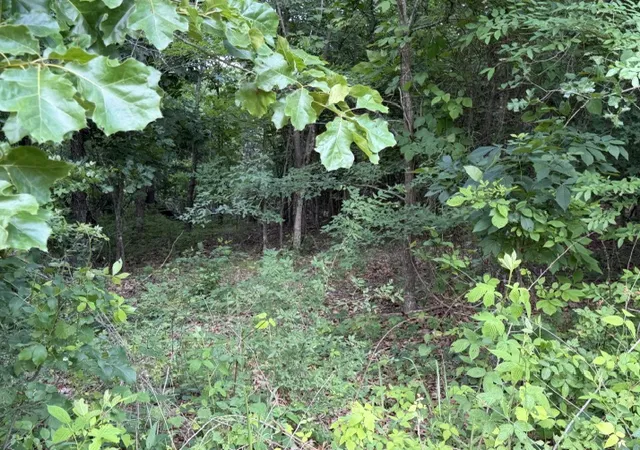 image of Lot 10 And 11 Marisco Ln, Bella Vista, AR 72715 | MLS# 1349624