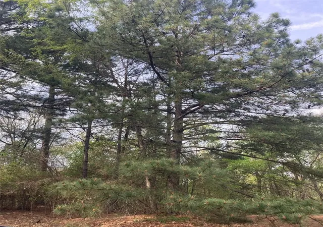 1st image of Tbd Mcdonald Blvd, London, AR 72847 | MLS# 1351065