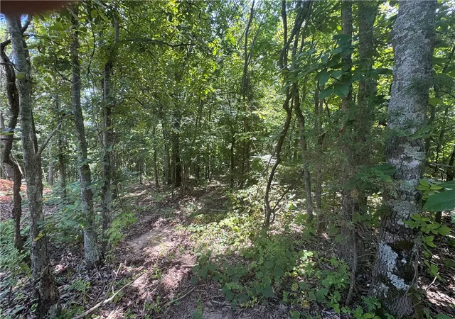 2nd image of Lot 59 Posy Mountain Dr, Garfield, AR 72732 | MLS# 1351051