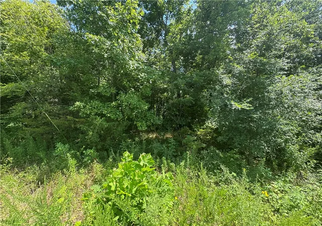 3rd image of Lot 59 Posy Mountain Dr, Garfield, AR 72732 | MLS# 1351051