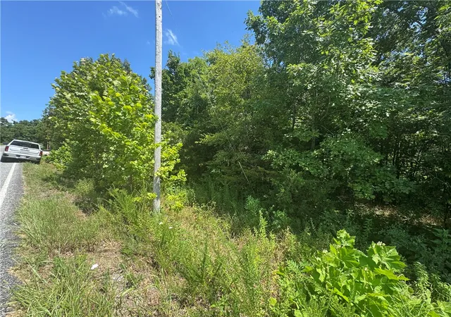 4th image of Lot 59 Posy Mountain Dr, Garfield, AR 72732 | MLS# 1351051