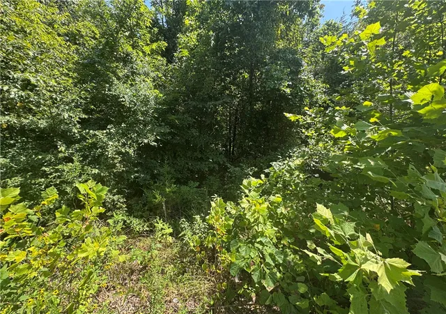 5th image of Lot 59 Posy Mountain Dr, Garfield, AR 72732 | MLS# 1351051